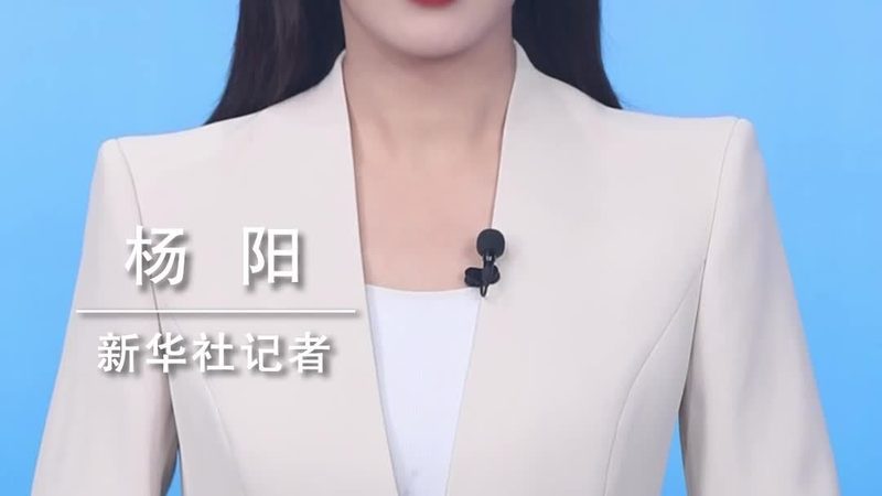 数据中台在政府项目中的应用：优缺点分析